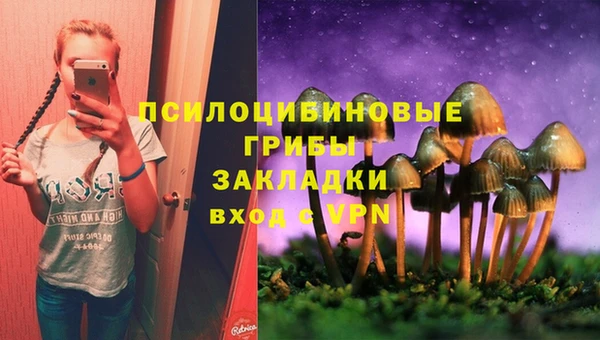 первитин Янаул