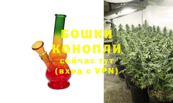дживик Каменногорск