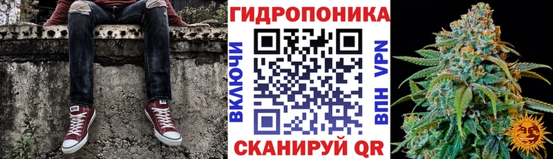 Купить где  Сальск  Бошки Шишки ГИДРОПОН 
